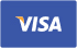 visa card