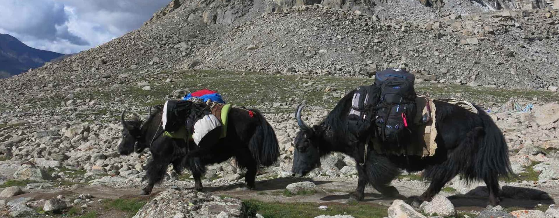 Tibet