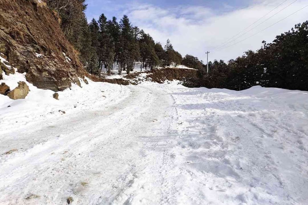 Kalinchowk Trek