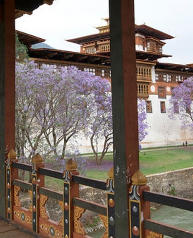 Tour in Bhutan