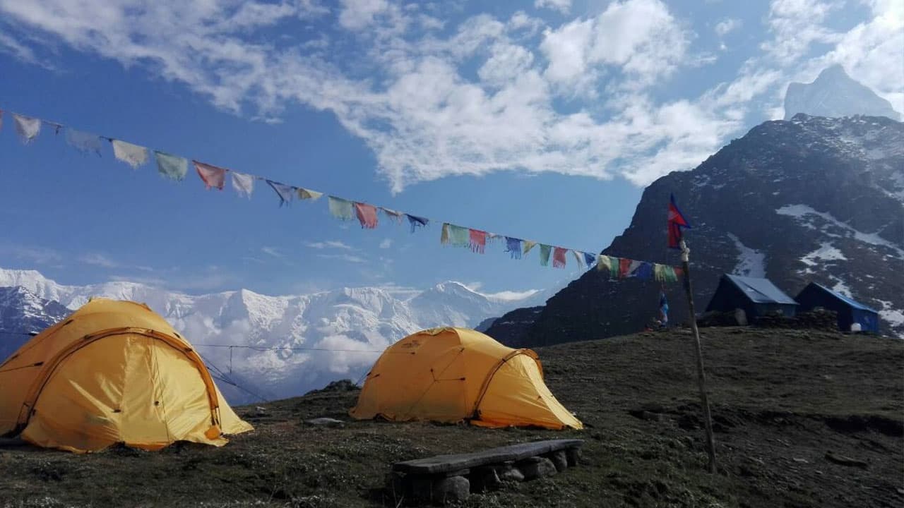 Yellow camping tents pitched at Mardi Himal High Camp under prayer flags with snow-capped Annapurna peaks.